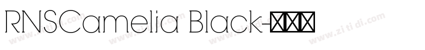 RNSCamelia Black字体转换